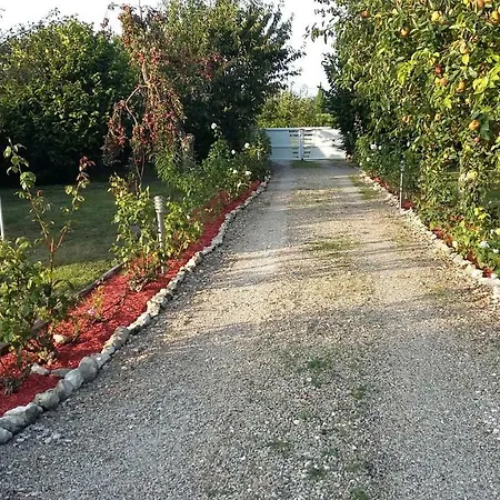 Le Clos De La Palmeraie Ordonnac